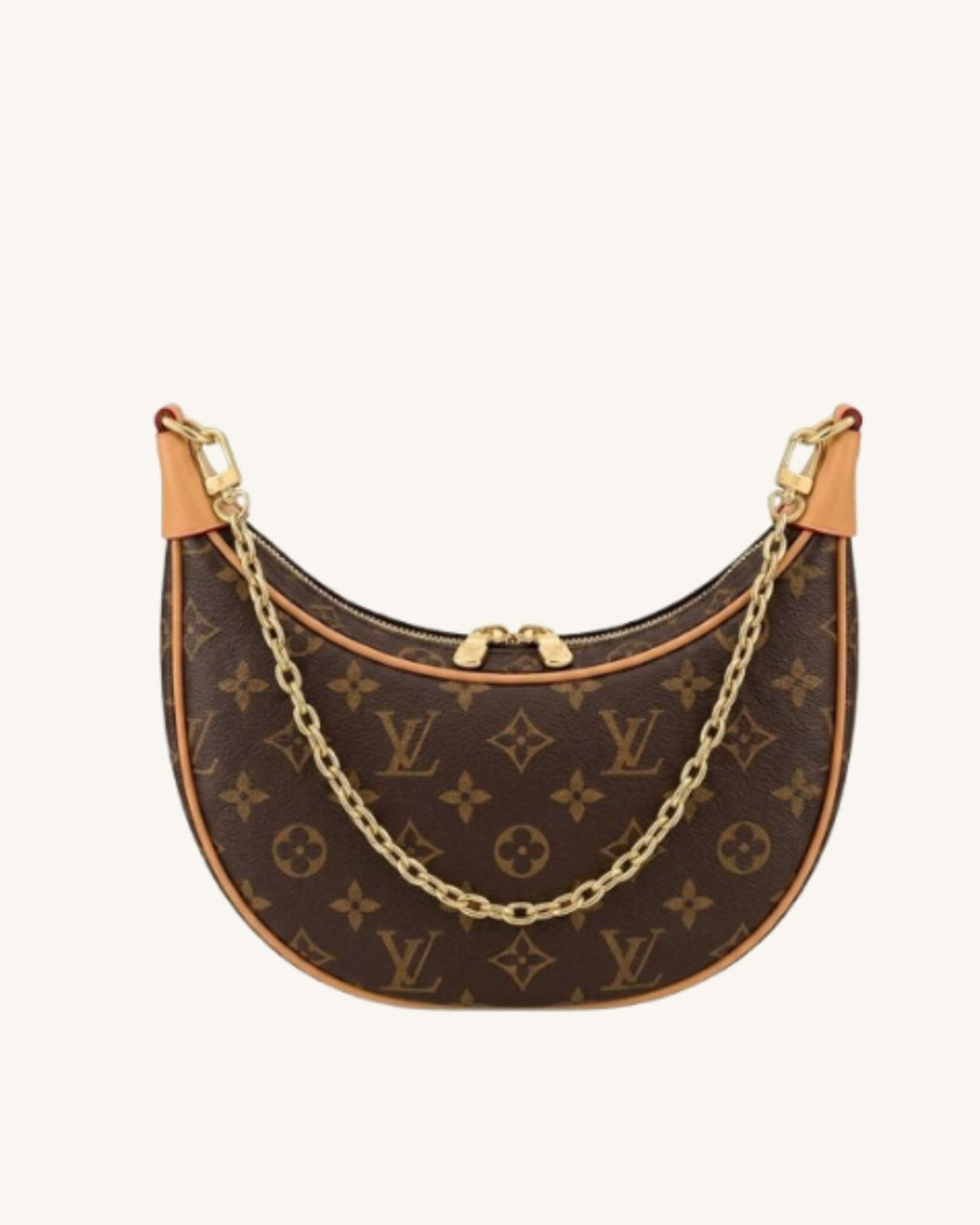 LV Loop Bag