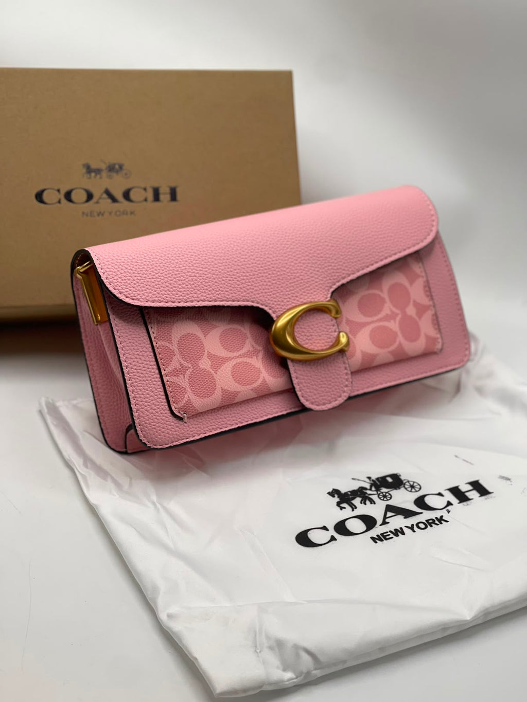 COH Tabby Large 26