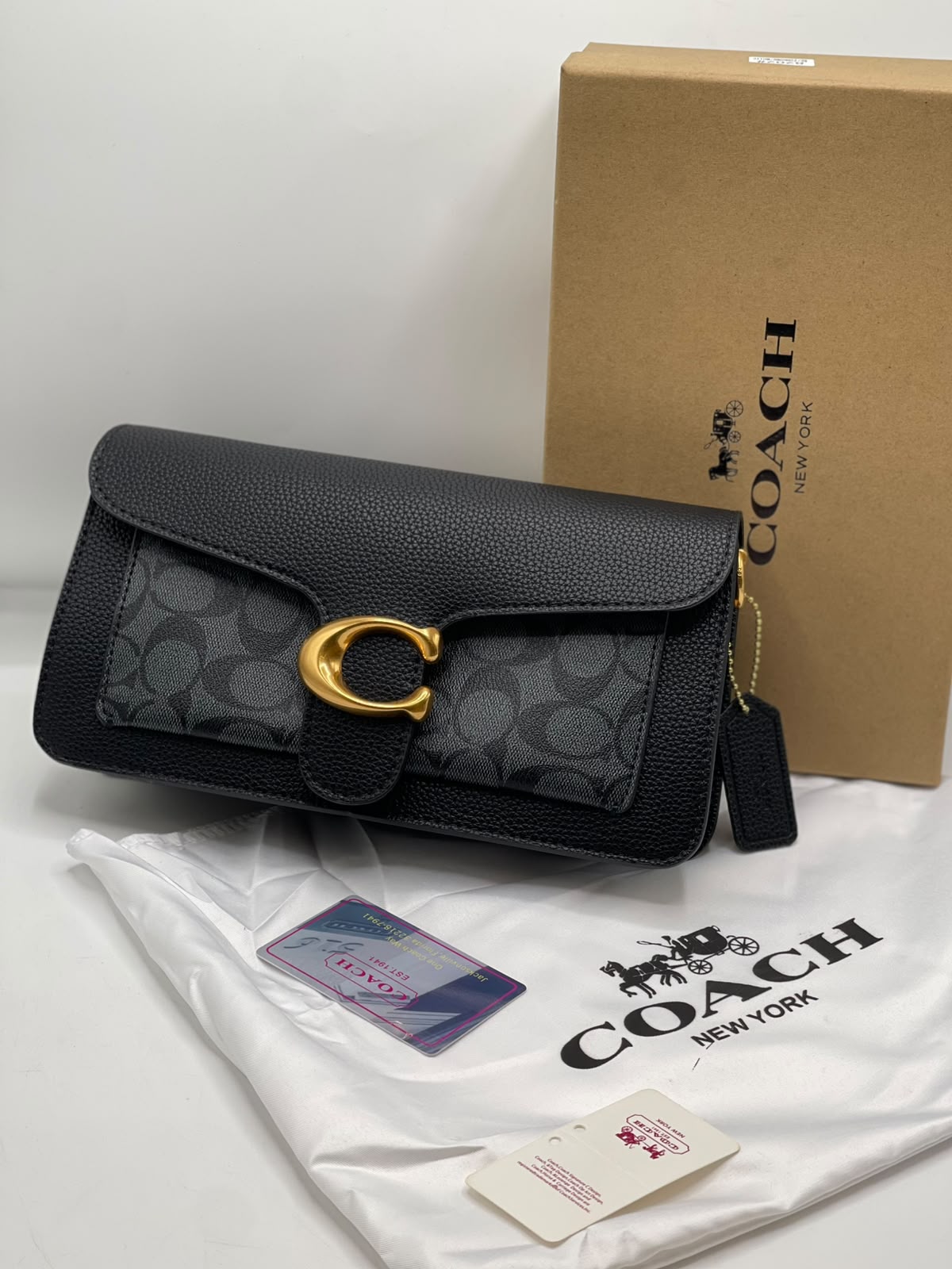 COH Tabby Large 26