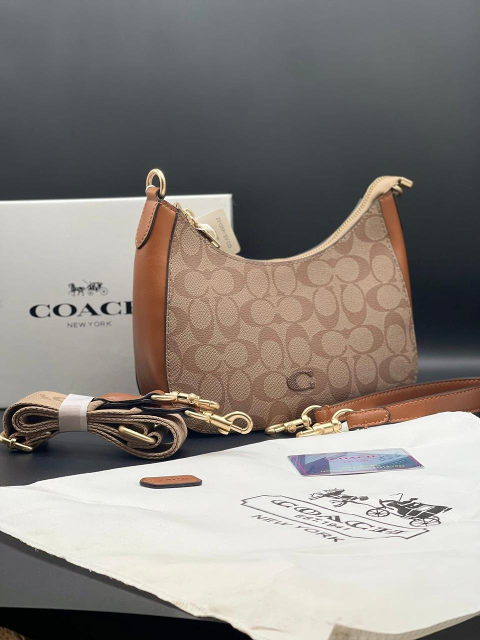 COH Teri Hobo