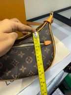LV Loop Bag